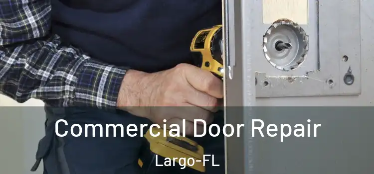  Commercial Door Repair Largo-FL