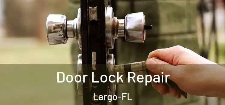 Door Lock Repair Largo-FL