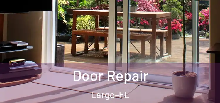  Door Repair Largo-FL