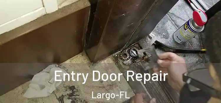  Entry Door Repair Largo-FL
