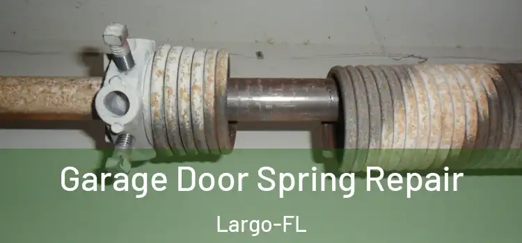  Garage Door Spring Repair Largo-FL