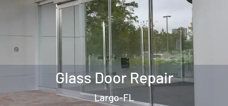  Glass Door Repair Largo-FL