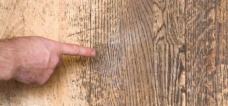Wood Door Scratch Repair in Largo