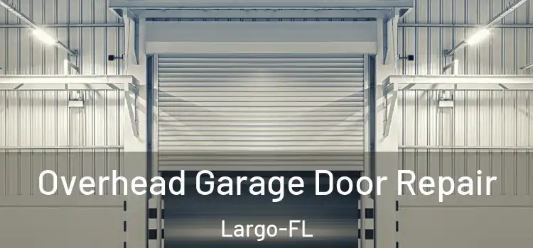  Overhead Garage Door Repair Largo-FL