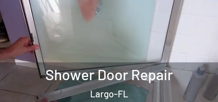  Shower Door Repair Largo-FL